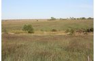Property photo 51 - Land Auction - 480 Acres in 10 Tracts, Native Grassland, Tillable Cropland