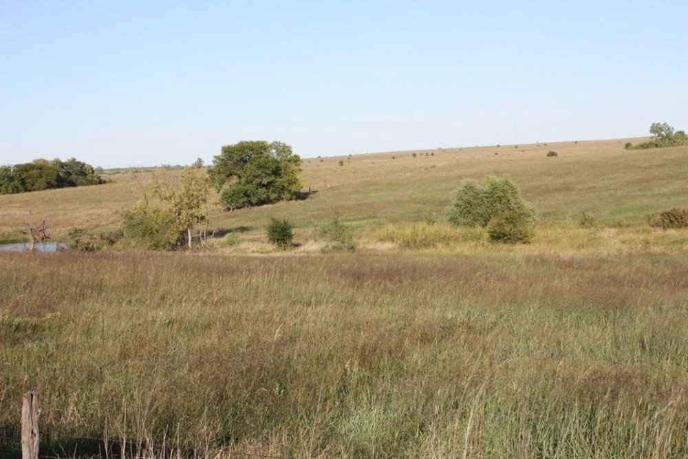 Property photo 12 - Land Auction - 480 Acres in 10 Tracts, Native Grassland, Tillable Cropland
