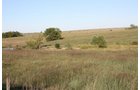 Property photo 12 - Land Auction - 480 Acres in 10 Tracts, Native Grassland, Tillable Cropland