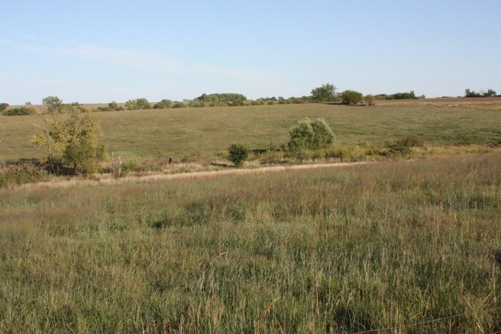 Property photo 75 - Land Auction - 480 Acres in 10 Tracts, Native Grassland, Tillable Cropland