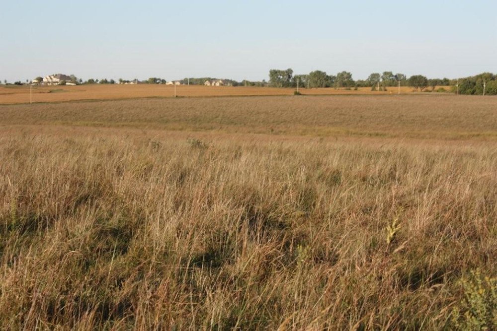Property photo 27 - Land Auction - 480 Acres in 10 Tracts, Native Grassland, Tillable Cropland