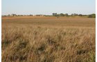Property photo 27 - Land Auction - 480 Acres in 10 Tracts, Native Grassland, Tillable Cropland