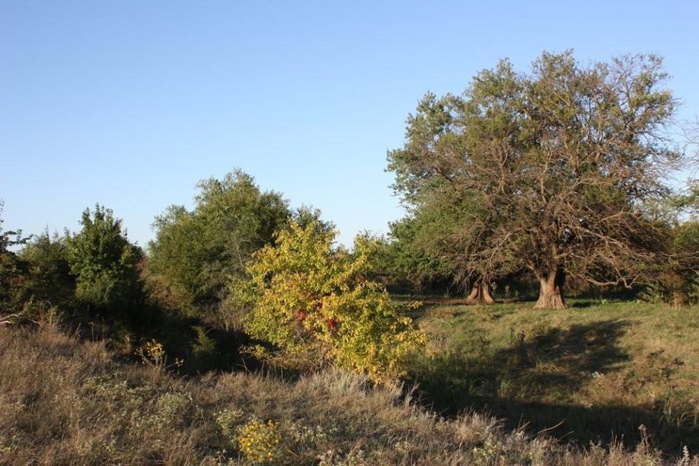 Property photo 79 - Land Auction - 480 Acres in 10 Tracts, Native Grassland, Tillable Cropland