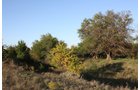 Property photo 79 - Land Auction - 480 Acres in 10 Tracts, Native Grassland, Tillable Cropland