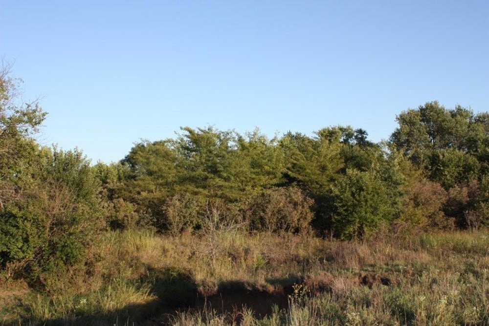 Property photo 63 - Land Auction - 480 Acres in 10 Tracts, Native Grassland, Tillable Cropland