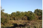 Property photo 63 - Land Auction - 480 Acres in 10 Tracts, Native Grassland, Tillable Cropland