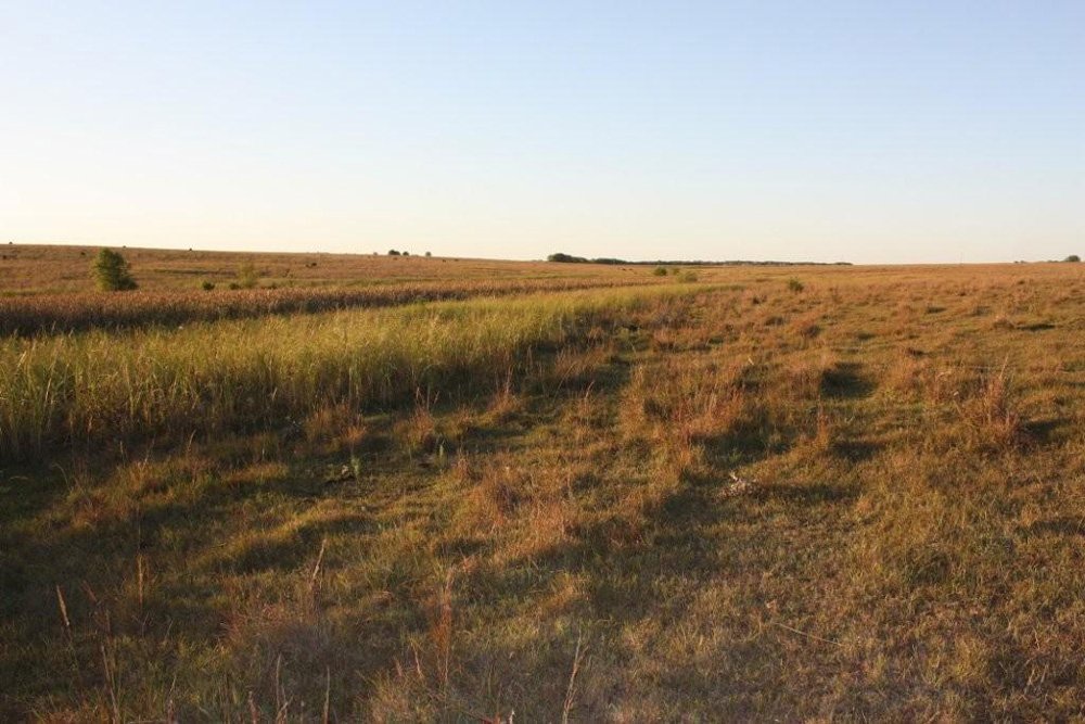 Property photo 52 - Land Auction - 480 Acres in 10 Tracts, Native Grassland, Tillable Cropland