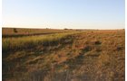 Property photo 52 - Land Auction - 480 Acres in 10 Tracts, Native Grassland, Tillable Cropland