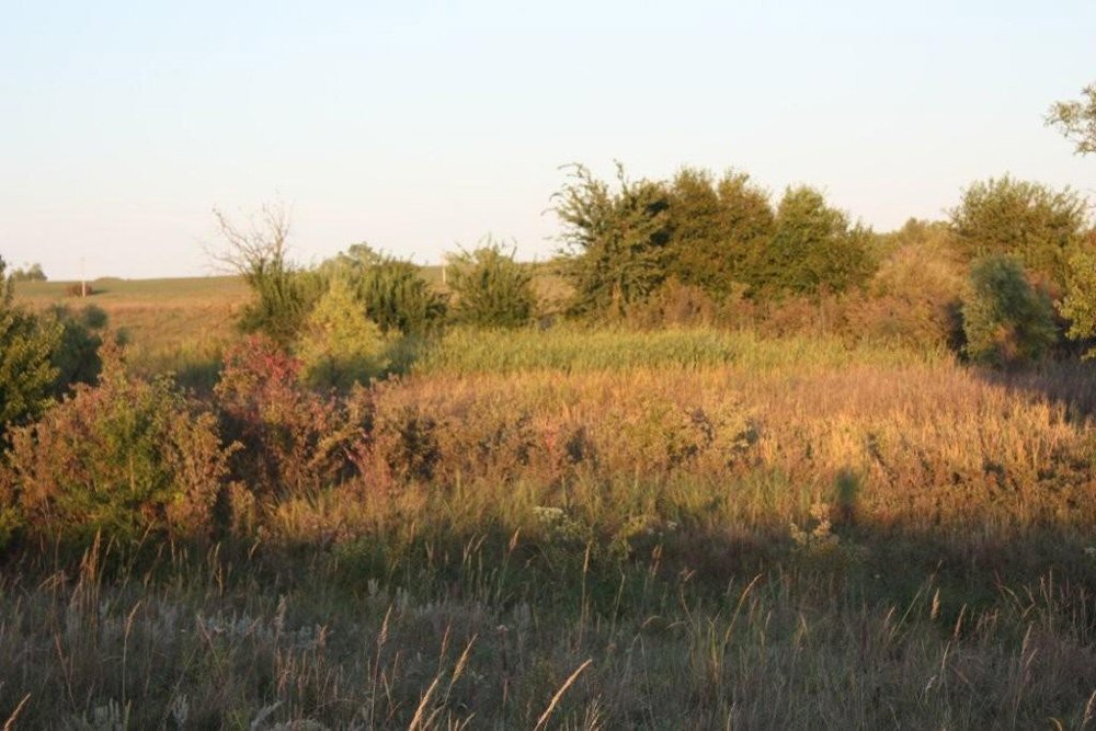 Property photo 36 - Land Auction - 480 Acres in 10 Tracts, Native Grassland, Tillable Cropland