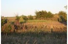 Property photo 36 - Land Auction - 480 Acres in 10 Tracts, Native Grassland, Tillable Cropland
