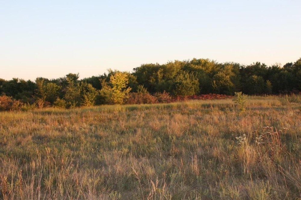 Property photo 54 - Land Auction - 480 Acres in 10 Tracts, Native Grassland, Tillable Cropland