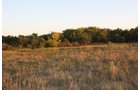 Property photo 54 - Land Auction - 480 Acres in 10 Tracts, Native Grassland, Tillable Cropland