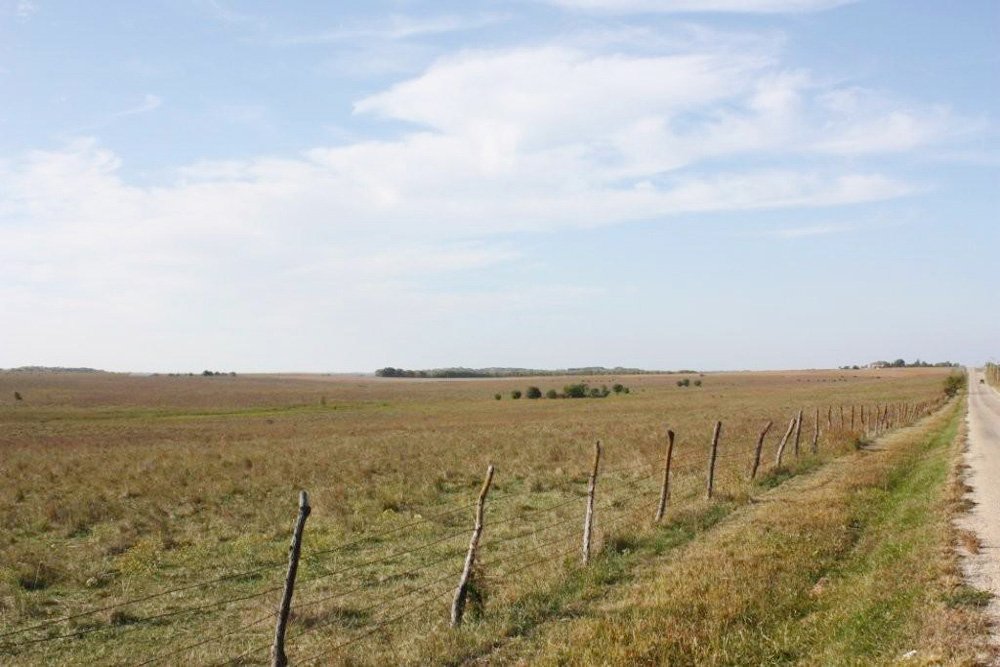 Property photo 2 - Land Auction - 480 Acres in 10 Tracts, Native Grassland, Tillable Cropland
