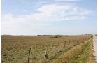 Property photo 2 - Land Auction - 480 Acres in 10 Tracts, Native Grassland, Tillable Cropland