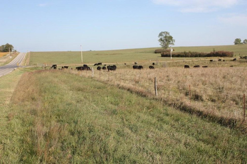 Property photo 22 - Land Auction - 480 Acres in 10 Tracts, Native Grassland, Tillable Cropland