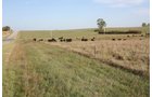 Property photo 22 - Land Auction - 480 Acres in 10 Tracts, Native Grassland, Tillable Cropland