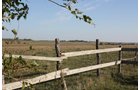 Property photo 23 - Land Auction - 480 Acres in 10 Tracts, Native Grassland, Tillable Cropland
