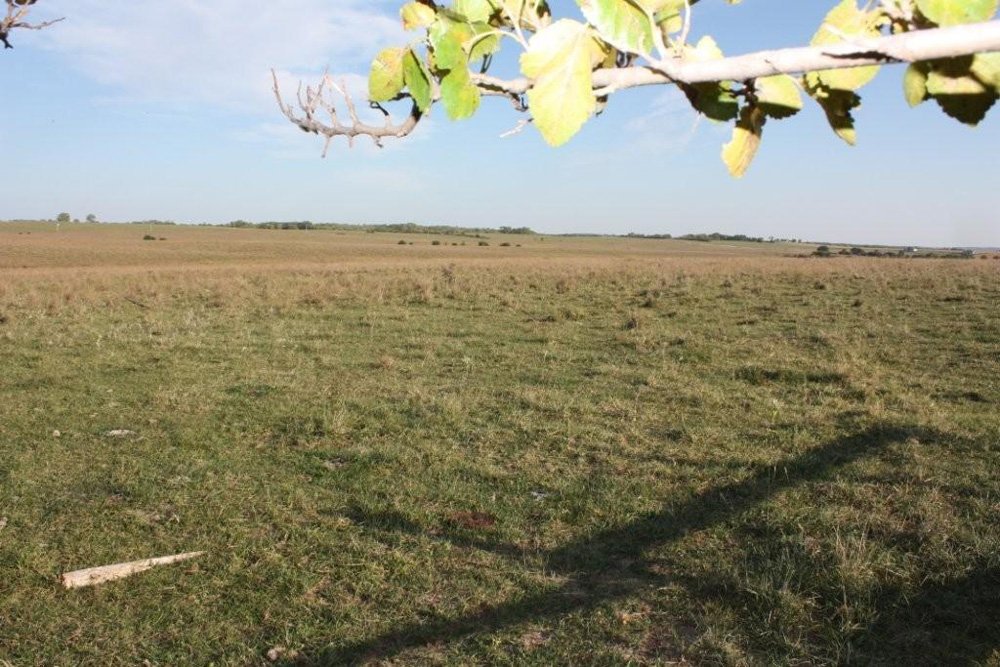 Property photo 21 - Land Auction - 480 Acres in 10 Tracts, Native Grassland, Tillable Cropland