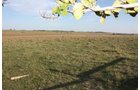 Property photo 21 - Land Auction - 480 Acres in 10 Tracts, Native Grassland, Tillable Cropland