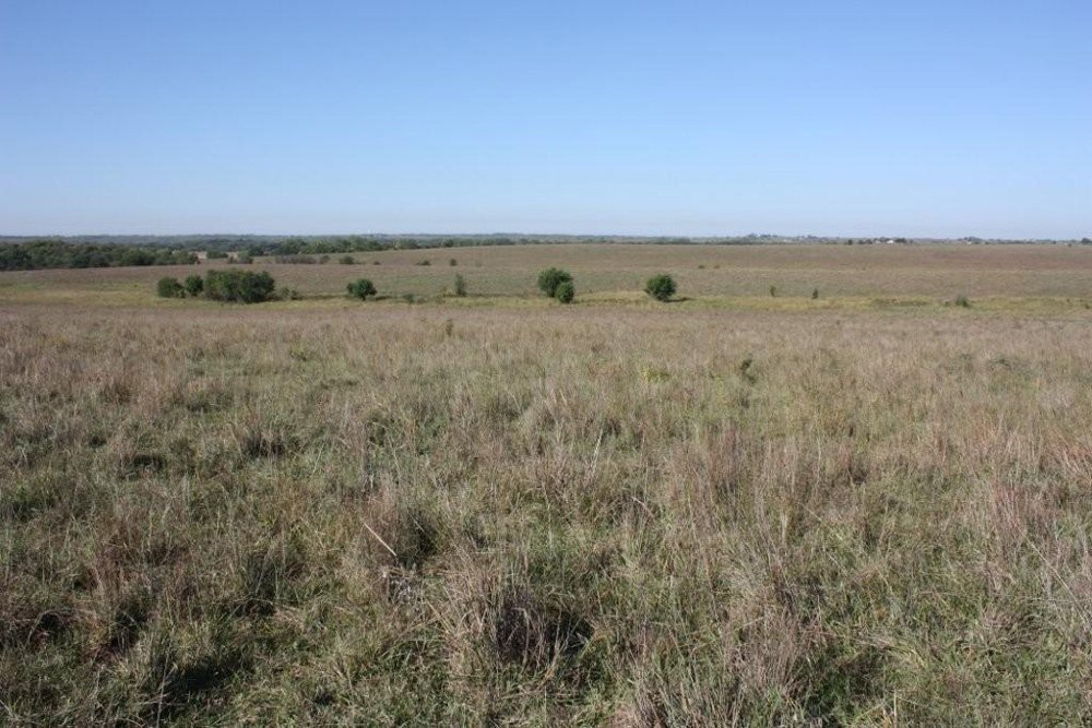 Property photo 25 - Land Auction - 480 Acres in 10 Tracts, Native Grassland, Tillable Cropland
