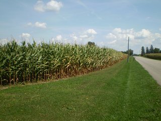Property photo 16 - 80+/- Acres Offered in 5 Tracts - Prime Farmland & Beautiful Country Home