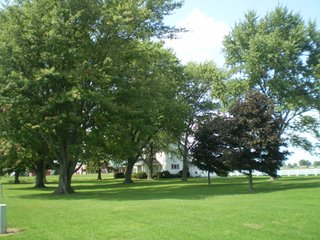 Property photo 6 - 80+/- Acres Offered in 5 Tracts - Prime Farmland & Beautiful Country Home