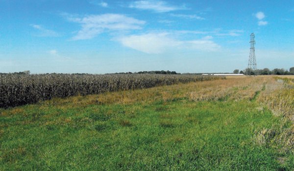 172.366+/- Acres Offered in 2 Tracts - Mostly All Tillable Land