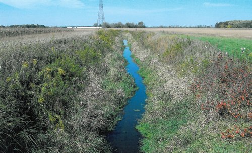 Property photo 2 - 172.366+/- Acres Offered in 2 Tracts - Mostly All Tillable Land