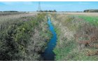 Property photo 2 - 172.366+/- Acres Offered in 2 Tracts - Mostly All Tillable Land