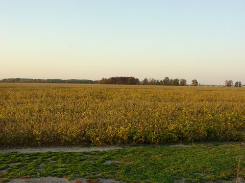 Property photo 3 - 108+/- Acres Offered in 2 Tracts