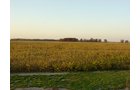 Property photo 3 - 108+/- Acres Offered in 2 Tracts