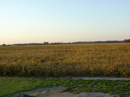 Property photo 5 - 108+/- Acres Offered in 2 Tracts