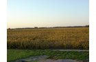 Property photo 5 - 108+/- Acres Offered in 2 Tracts