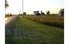 Property photo 18 - 108+/- Acres Offered in 2 Tracts