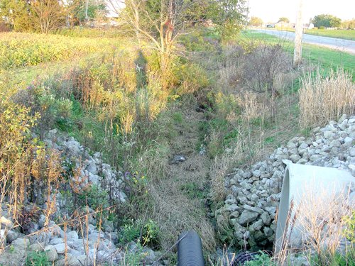 Property photo 16 - 108+/- Acres Offered in 2 Tracts