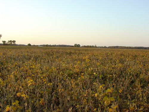 Property photo 10 - 108+/- Acres Offered in 2 Tracts