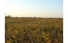 Property photo 10 - 108+/- Acres Offered in 2 Tracts