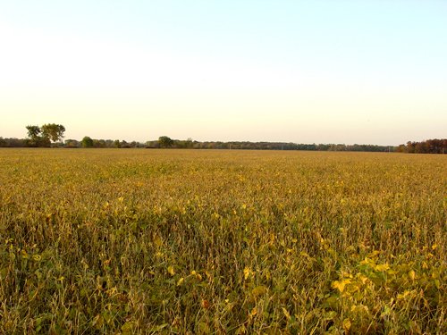 Property photo 11 - 108+/- Acres Offered in 2 Tracts