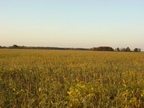 Property photo 8 - 108+/- Acres Offered in 2 Tracts