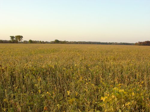 Property photo 4 - 108+/- Acres Offered in 2 Tracts