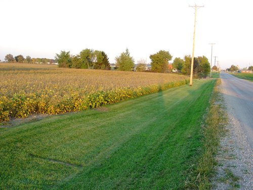 Property photo 17 - 108+/- Acres Offered in 2 Tracts
