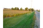 Property photo 17 - 108+/- Acres Offered in 2 Tracts