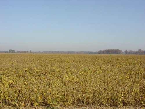 Property photo 7 - 108+/- Acres Offered in 2 Tracts
