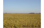Property photo 7 - 108+/- Acres Offered in 2 Tracts