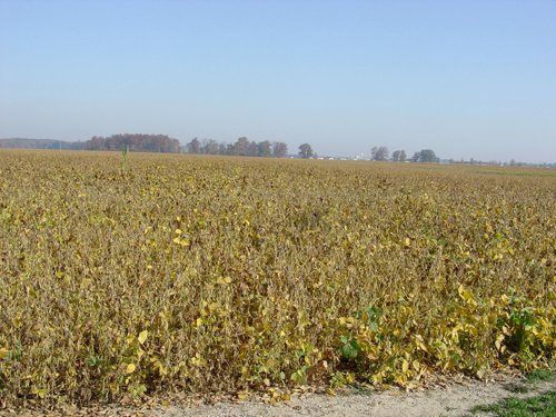 Property photo 6 - 108+/- Acres Offered in 2 Tracts