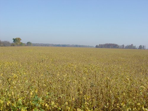 Property photo 19 - 108+/- Acres Offered in 2 Tracts