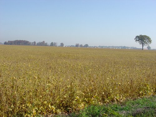Property photo 15 - 108+/- Acres Offered in 2 Tracts
