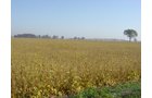 Property photo 15 - 108+/- Acres Offered in 2 Tracts