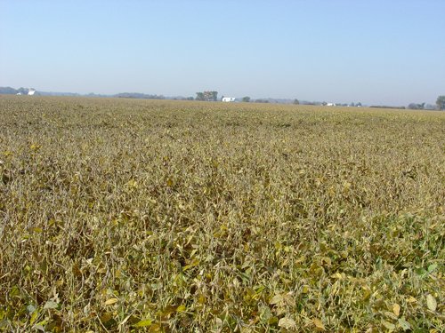 Property photo 20 - 108+/- Acres Offered in 2 Tracts