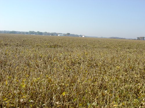 Property photo 1 - 108+/- Acres Offered in 2 Tracts
